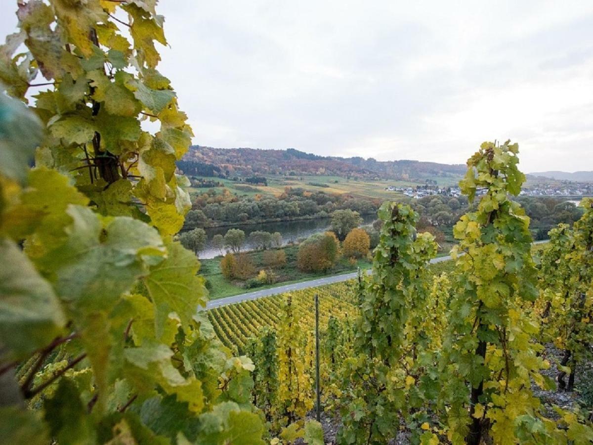 Ferienwohnung-Vinothek Keifer Kinheim Εξωτερικό φωτογραφία